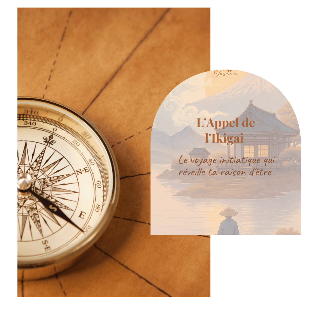 Carrière et reconversion